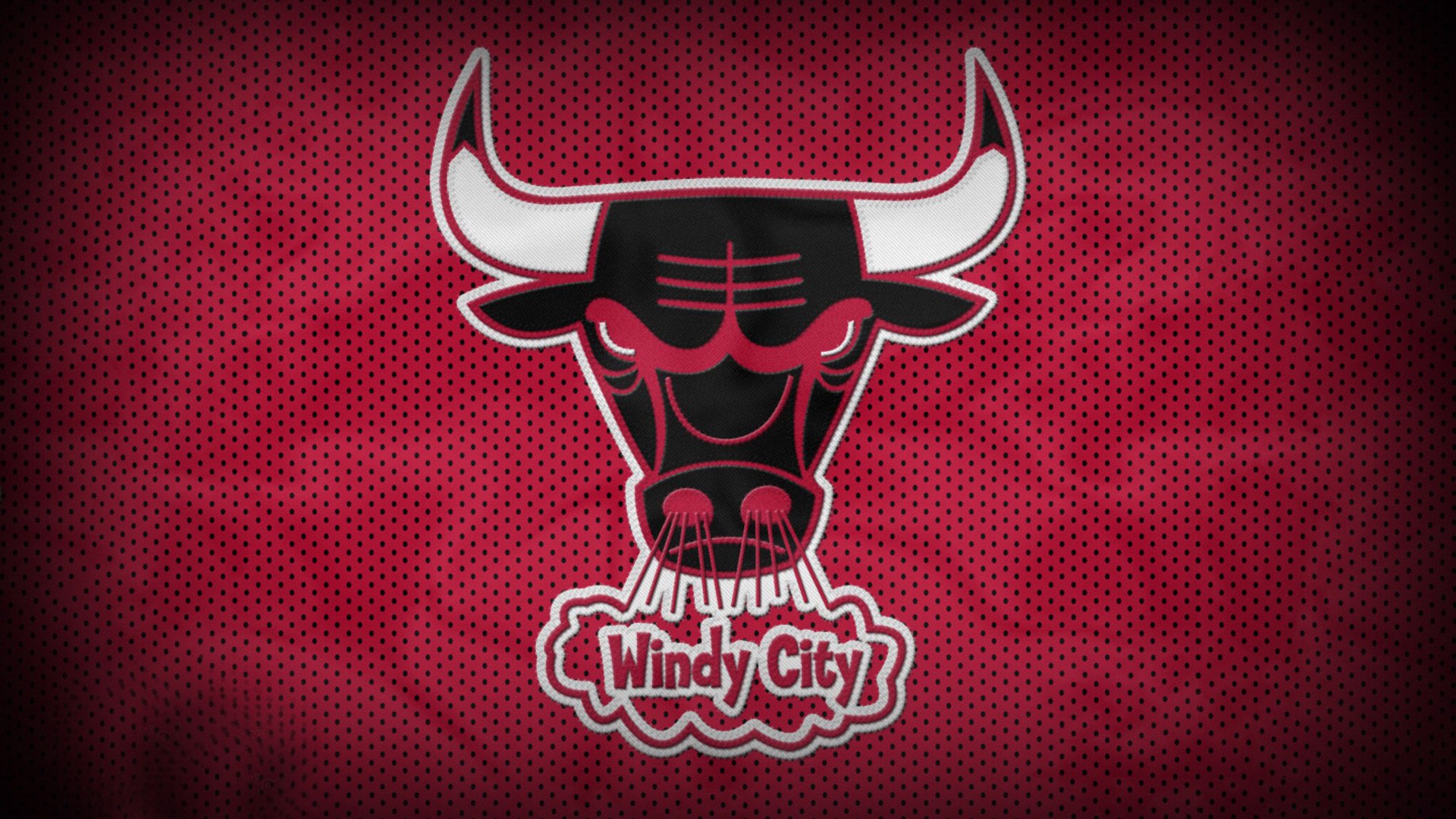 中国组合稳步提升成绩赢得认可,中国组合团队