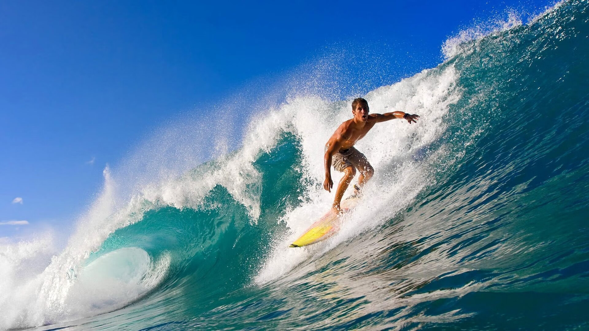 CBA外援与本土球员共创辉煌,cba队员外援