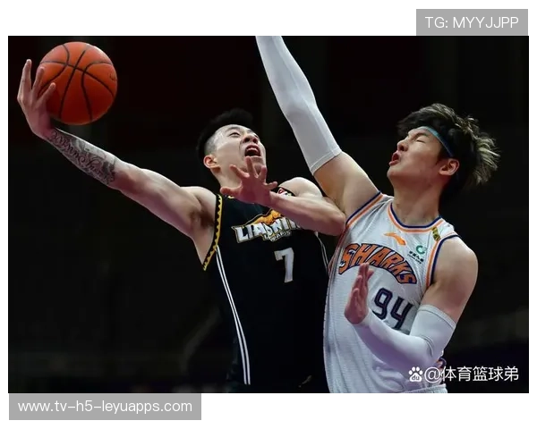 CBA上海队引入国际化训练体系，水平提升明显