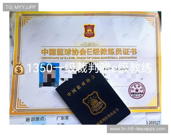 篮球培训与职业认证在中国政策支持下的发展状况,篮球训练证书培训考试